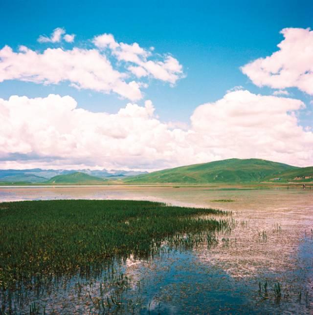 甘南川西最美风景线，离你最近的藏区秘境！自驾邂逅最美风景！