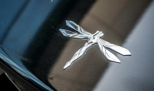 蜻蜓标志惹不起！国产最贵电动车造型拉风，按键还全用中文
