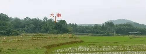广西玉林博白县清朝风水名师王履坦与师兄弟之间的斗法故事
