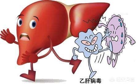 肝病患者日常生活中应该怎样调养，才能使肝脏恢复健康？