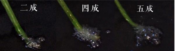 新手怎么学做菜?我来教你。
