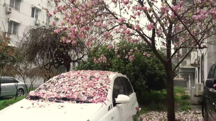 从人事调整，看“困境中求变”的东风乘用车