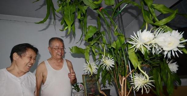花卉酸碱偏好清单，爱花知花，才能养好花