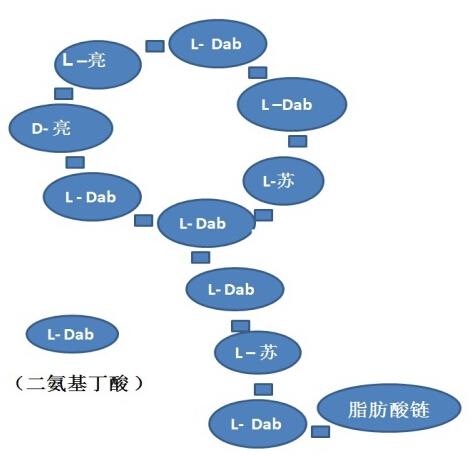 硫酸黏菌素对断奶仔猪生长性能的影响