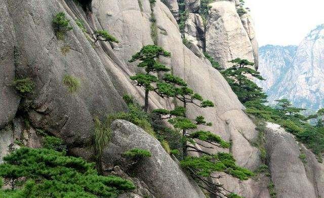 三山五岳中的三山, 是指哪三座山