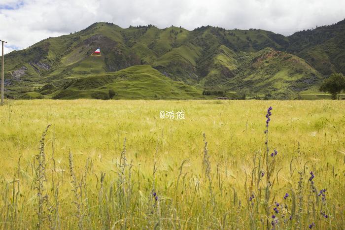 色达+牛背山|夏日川西自由行