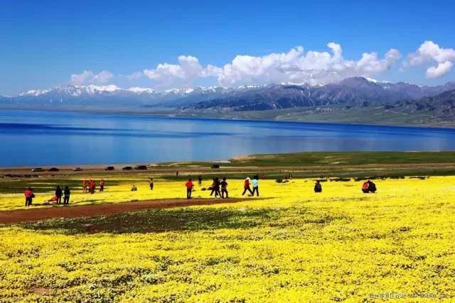 新疆一条山区公路，沿线四季美景不同，被称伊犁最靓丽风景线