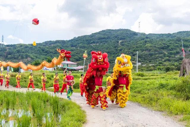 2018惠阳吉他荔枝嘉年华第九届镇隆荔枝文化节之盛夏之约山顶荔枝