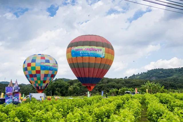 2018惠阳吉他荔枝嘉年华第九届镇隆荔枝文化节之盛夏之约山顶荔枝