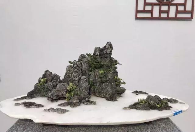 2018国际盆景协会中国会员盆景精品展暨中国盆景邀请展隆重开幕