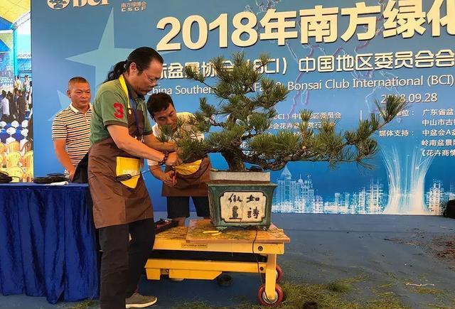 2018国际盆景协会中国会员盆景精品展暨中国盆景邀请展隆重开幕