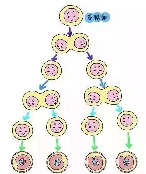 和不是很喜欢的人结婚怎么办?