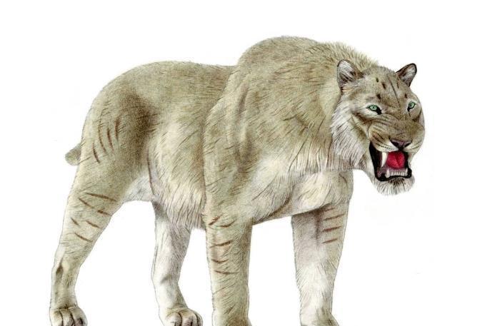 中国5种疑似远古生物的神秘物种, 第4种已经被确认