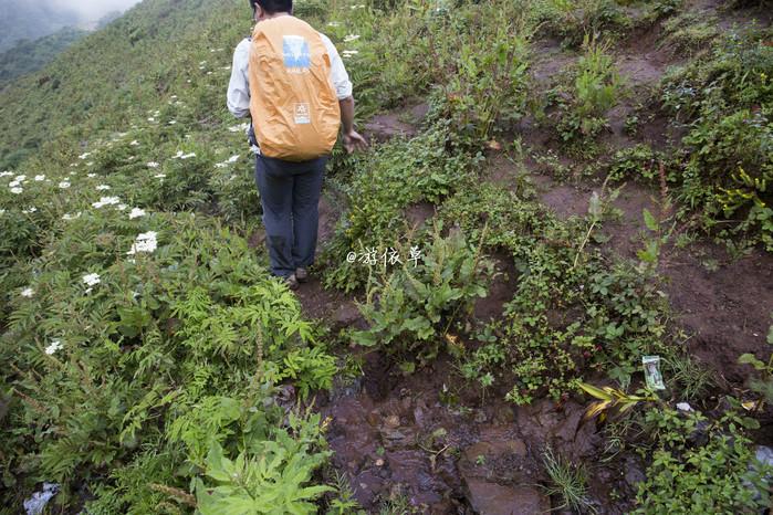 色达+牛背山|夏日川西自由行