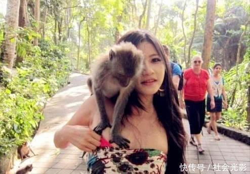 峨眉山的猴子爱耍流氓，女游客:太恐怖了，再也不敢穿裙子去了!