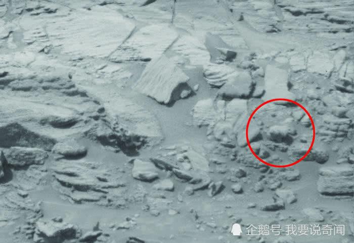 火星上的这个发现表明，有活体生物存在火星上