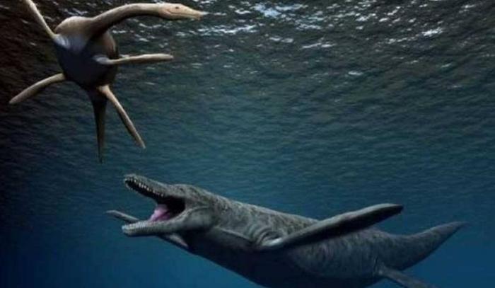 中国5种疑似远古生物的神秘物种, 第4种已经被确认