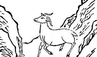 “十羊九不全”果真如此吗? 在《山海经》中关于羊有哪些记载呢