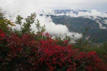 重庆市的巫山县、巫溪县哪个县最美？