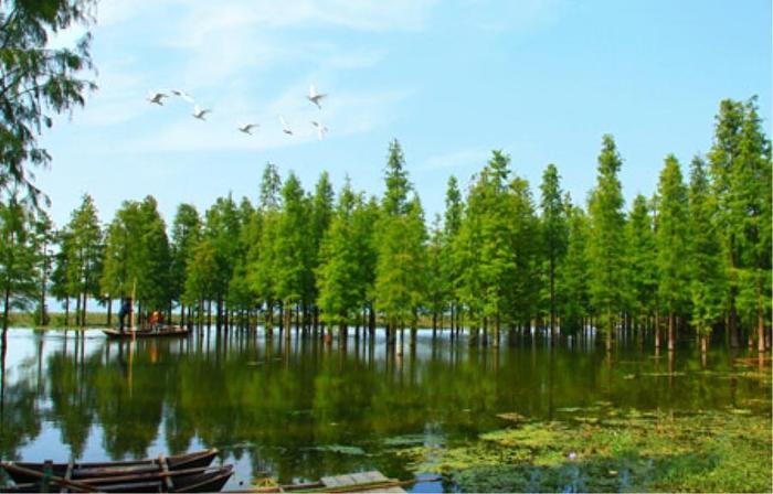 河南信阳光山县五个不错的旅游景点，看看你去过几个？