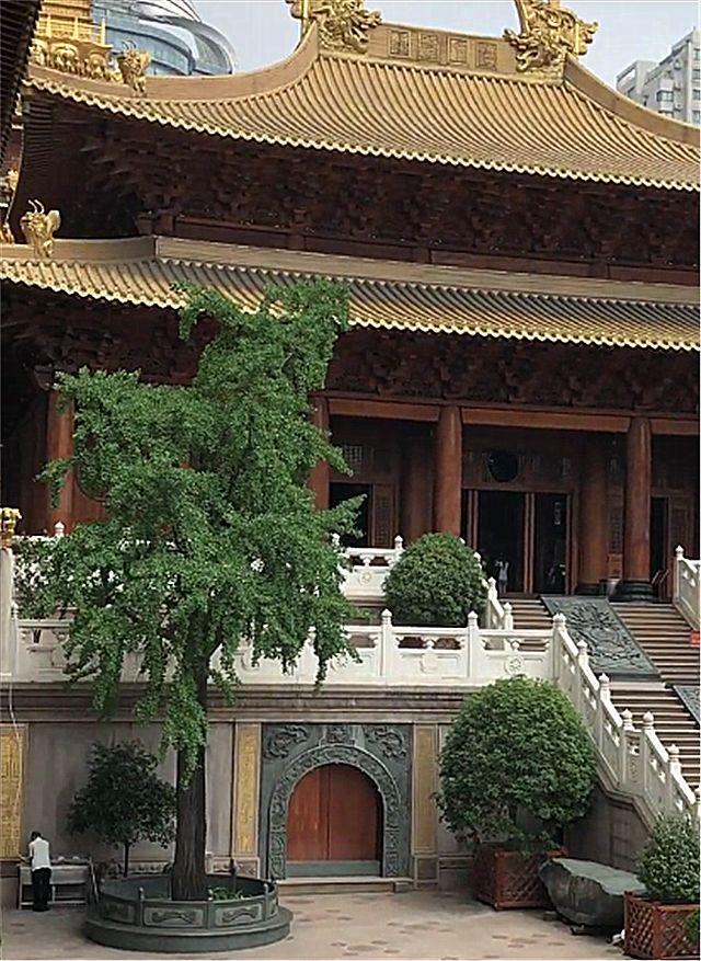 59万捷豹跑车现上海一寺庙，仔细一看，发现车主比跑车养眼！