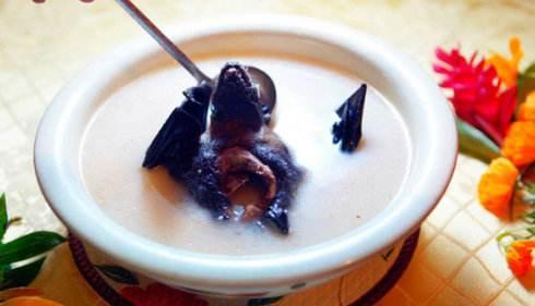 蝙蝠水果炖汤营养美味健康真好喝 吃完你还想再来一碗