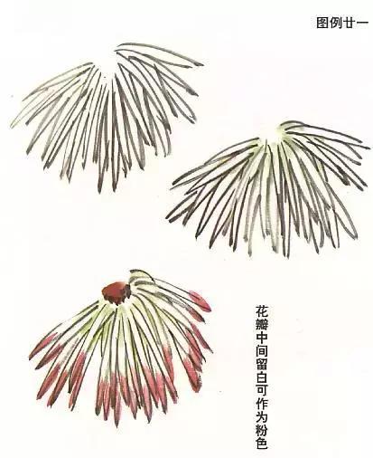 四君子”梅兰竹菊画法，很实用