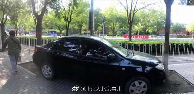 北京最牛违章“神停车”，将车停进树池间，间距只有7cm