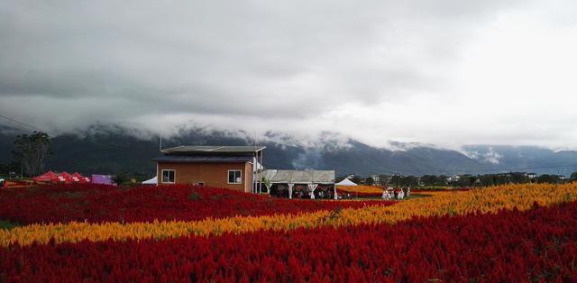 云贵川最宜居的城市, 不是成都, 也不是丽江, 为风花雪月之地!