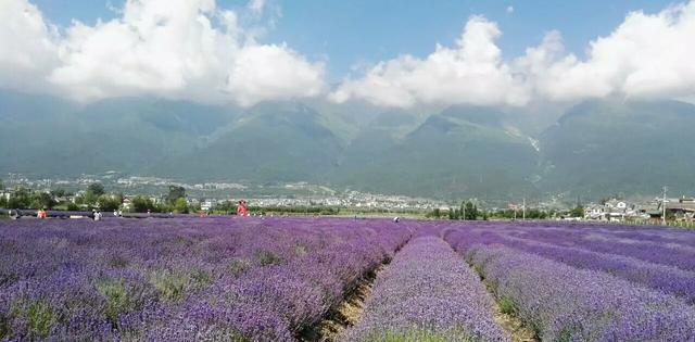 云贵川最宜居的城市, 不是成都, 也不是丽江, 为风花雪月之地!