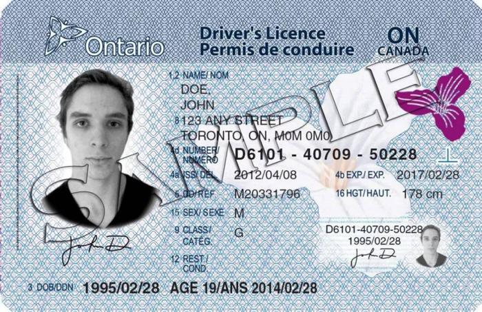 中国的驾驶证可在加拿大用吗?