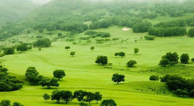 河北省面积最大的县，也是全国唯一的满族蒙古族自治县