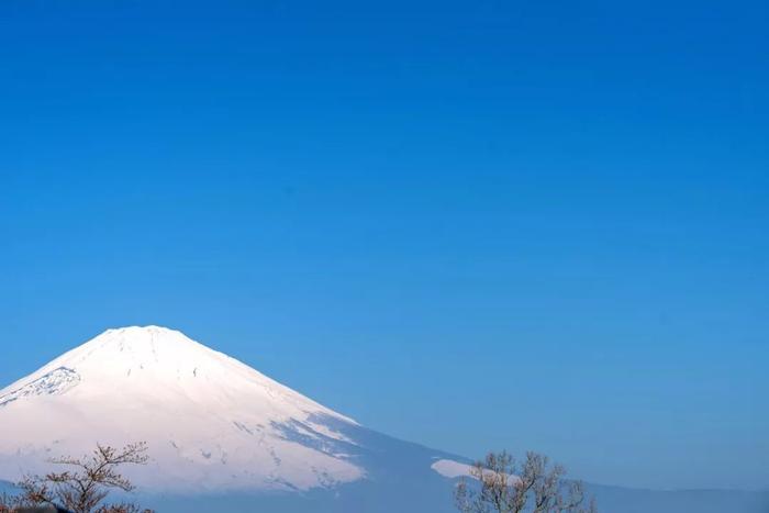 在富士山下的预制模块化露营酒店里，欣赏日本最高山峰的美景