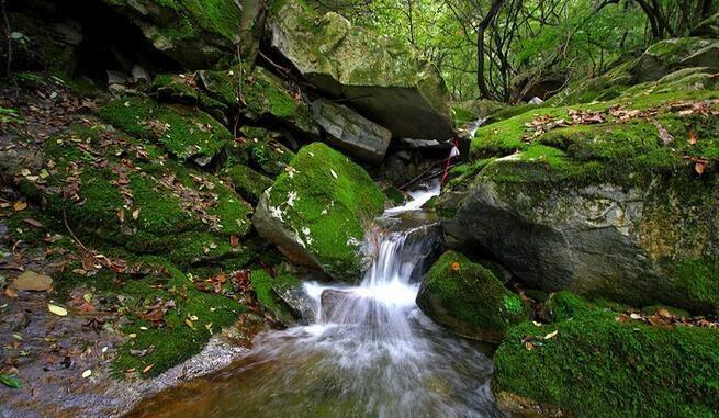 距西安1h, 秦岭沣峪口这汪潭水正清凉, 周末约起!