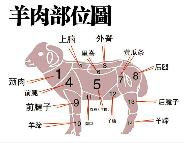 最齐全的羊肉16个部位图解，真诚的教您如何食用羊肉和辨别假羊肉