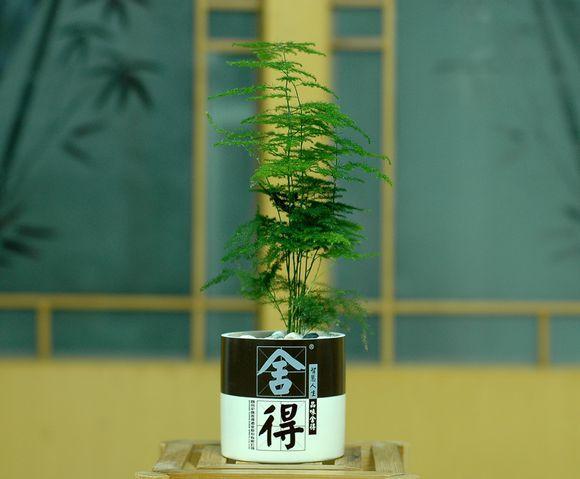 变废为宝，酒瓶切割教学。