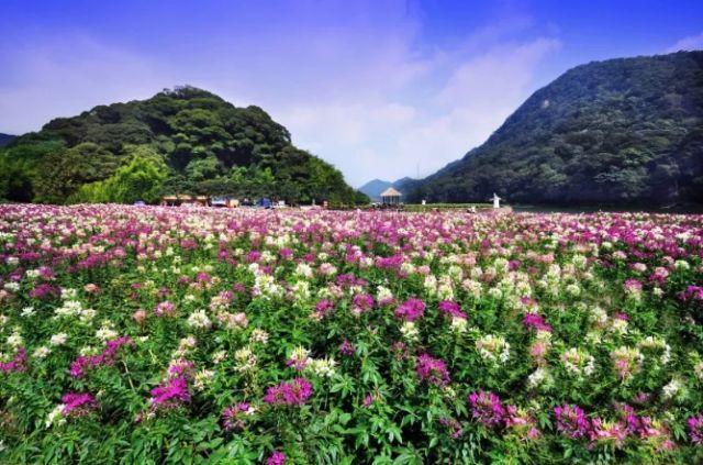 广州从化旅游10大景点推荐，赶紧藏好！