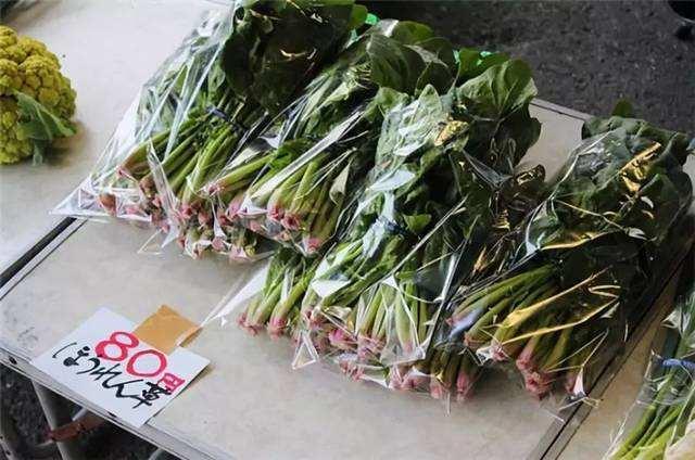 实拍日本的真实菜市场，网友看后：将蔬菜包装成了吃不起的样子！