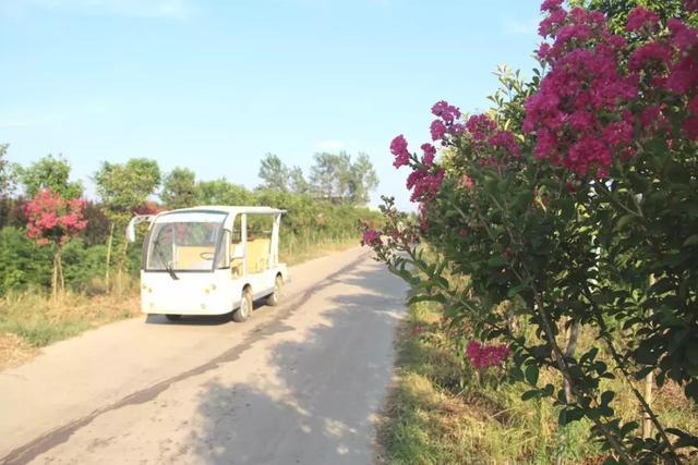 南阳十大最美休闲农庄：唐河郭家村生态观光园