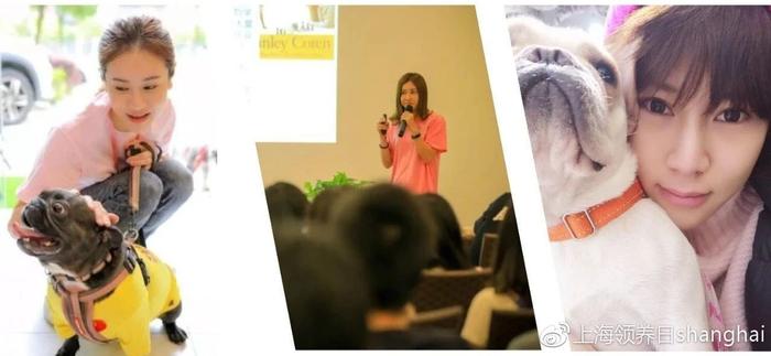 新时代 领养二胎更时尚 | 第13届上海宠物领养日  萌宠二胎指南