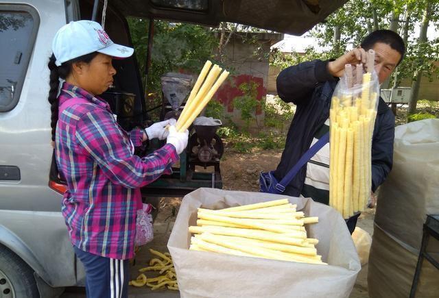 农村人是这样赶集的, 各种蔬果、小吃还有秧苗, 东西很齐全