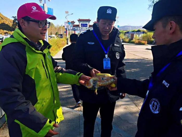 国庆期间，芦芽山景区哪里都是人人人人人……