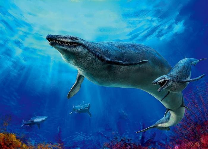 这种远古时期的海洋巨兽，极为凶猛，连现代的海洋霸主也是其食物