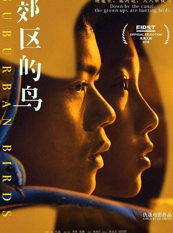《郊区的鸟》：南方系的灵性与自由