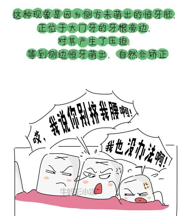 乳牙？恒牙？六龄牙？科普牙齿的那些事【漫画】