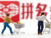 精细化定位造就新电商 海派基因的拼多多正健康发展