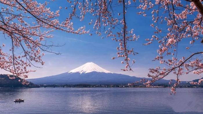 在富士山下的预制模块化露营酒店里，欣赏日本最高山峰的美景