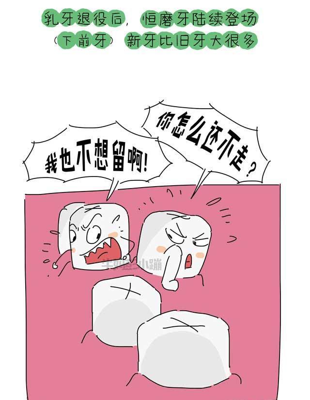 乳牙？恒牙？六龄牙？科普牙齿的那些事【漫画】