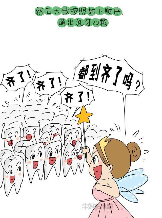 乳牙？恒牙？六龄牙？科普牙齿的那些事【漫画】
