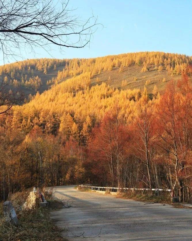 蘑阿公路，内蒙这一条县级公路，车少景美，串起两大低调旅行地！